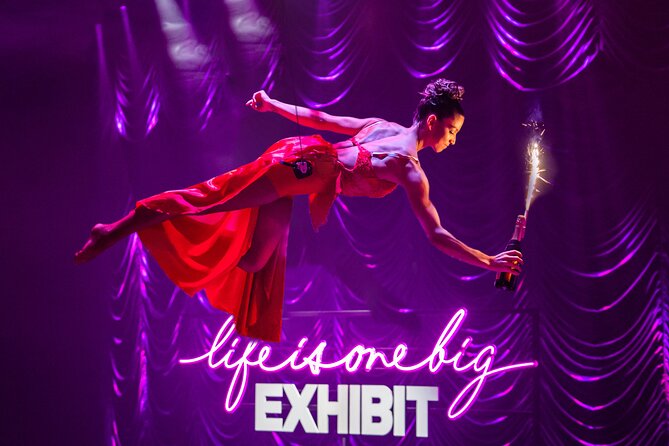 EXHIBIT - Acrobatics, Dance & Art - Value check: is $117 worth a 2-hour night?