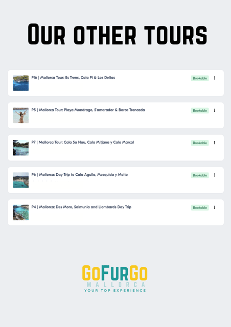 Experinence in Mondrago /S'amarador / Trencada Snorkel y SUP - Key points worth knowing