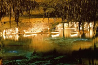 Explore Mallorca: Majorica Pearl Shop and Caves of Drach - Getting to the Caves without renting a car