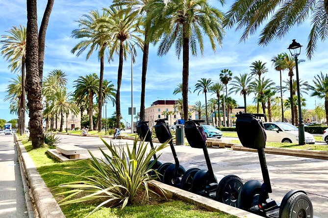 Express 1 hour Segway Tour - Plaça de Cort and Olivera de Cort: the civic heart beat