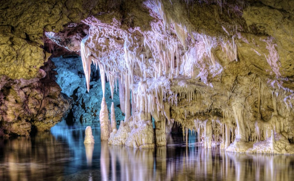 From Alcúdia: Dinosaurland and Hams' Caves Half-Day Trip - Should you book the Alcúdia Dinosaurs and Caves half-day?