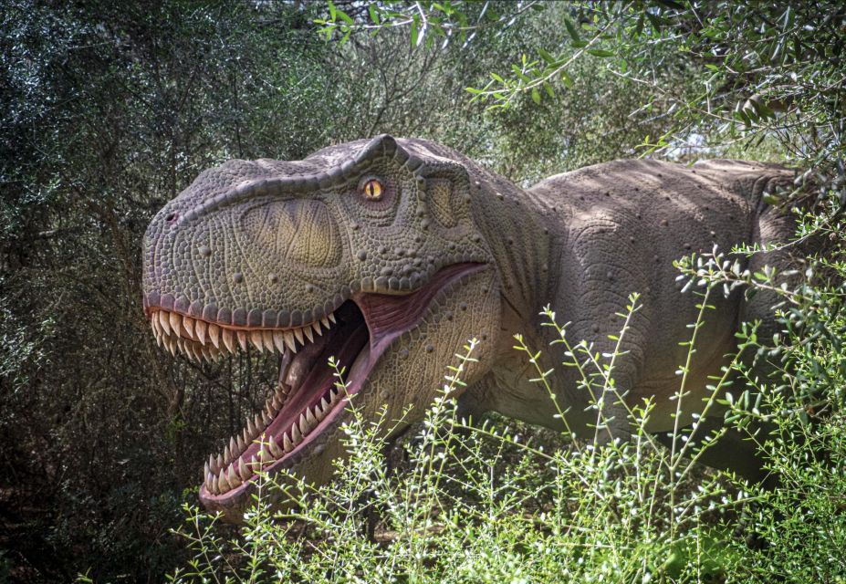 From Alcúdia: Dinosaurland and Hams' Caves Half-Day Trip - Coach from Alcúdia: the easy start (and why it matters)