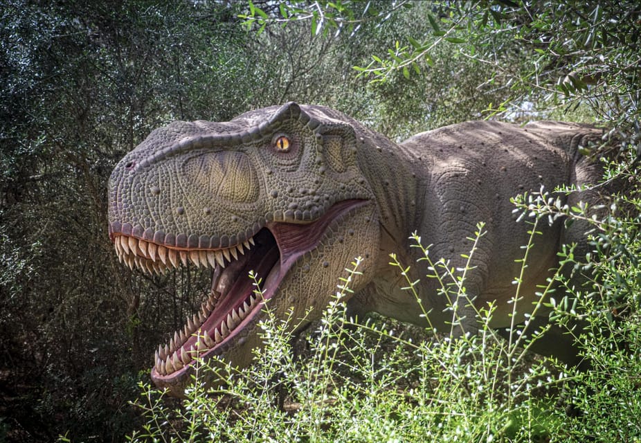 From Alcúdia: Dinosaurland and Hams' Caves Half-Day Trip - Cuevas dels Hams: limestone drama plus the Sea of Venice show