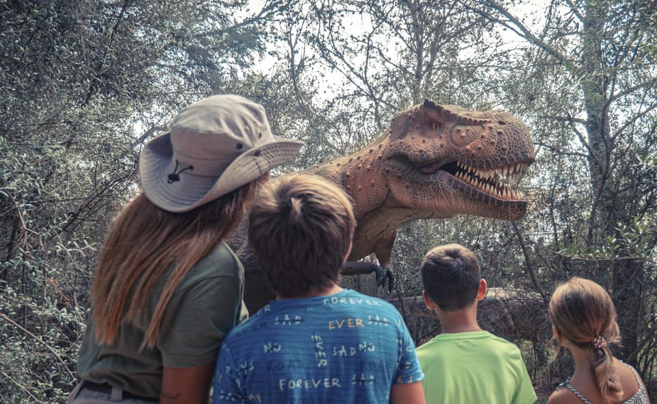 From Alcúdia: Dinosaurland and Hams' Caves Half-Day Trip - Timing and meeting the group: how to avoid the common hiccup