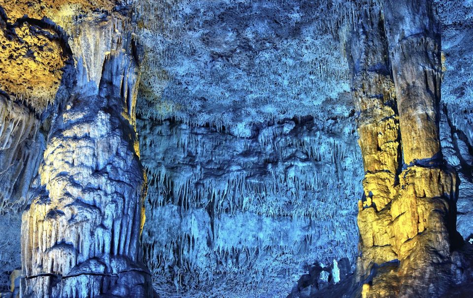 From Alcúdia: Dinosaurland and Hams' Caves Half-Day Trip - Price and value: is $68 a smart deal?