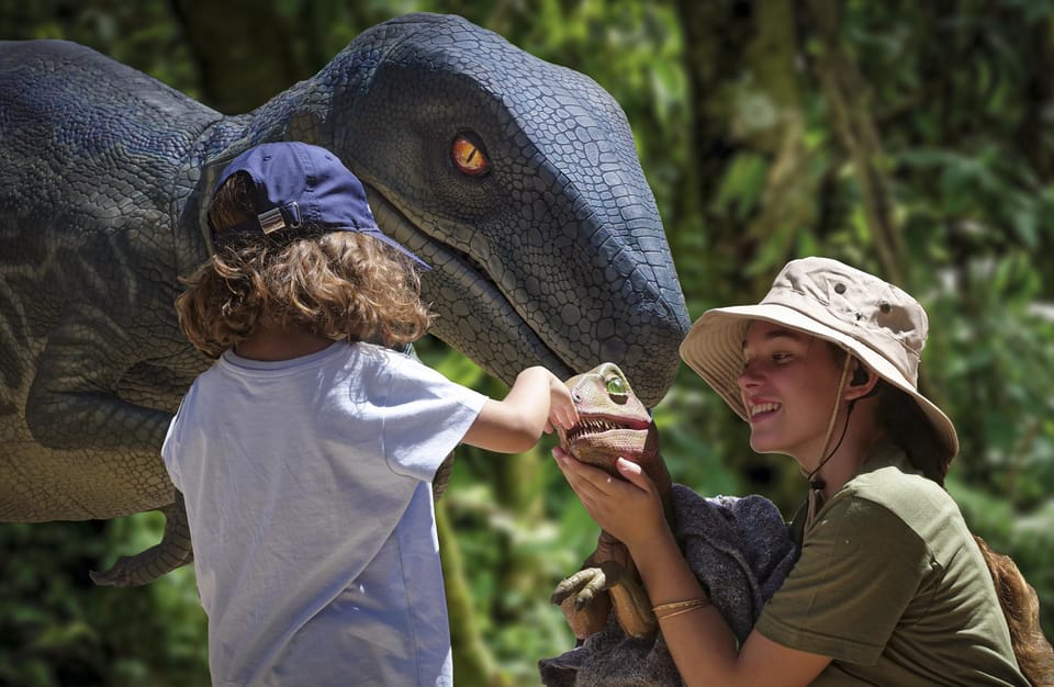 From Alcúdia: Dinosaurland and Hams' Caves Half-Day Trip - A practical packing checklist