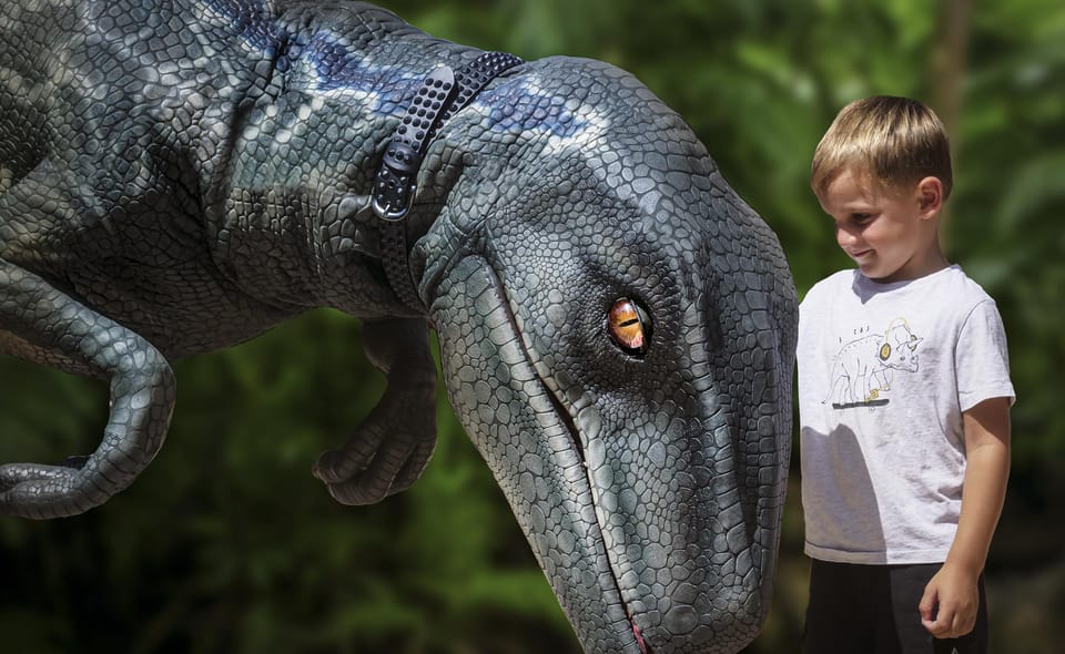 From Alcúdia: Dinosaurland and Hams' Caves Half-Day Trip - Dinosaurland in 2 hours: what you can realistically do