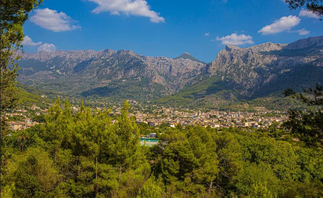 From Alcúdia: Soller Train and Tram Half Day Tour - Price and value: what $63 buys you (and what it doesn’t)