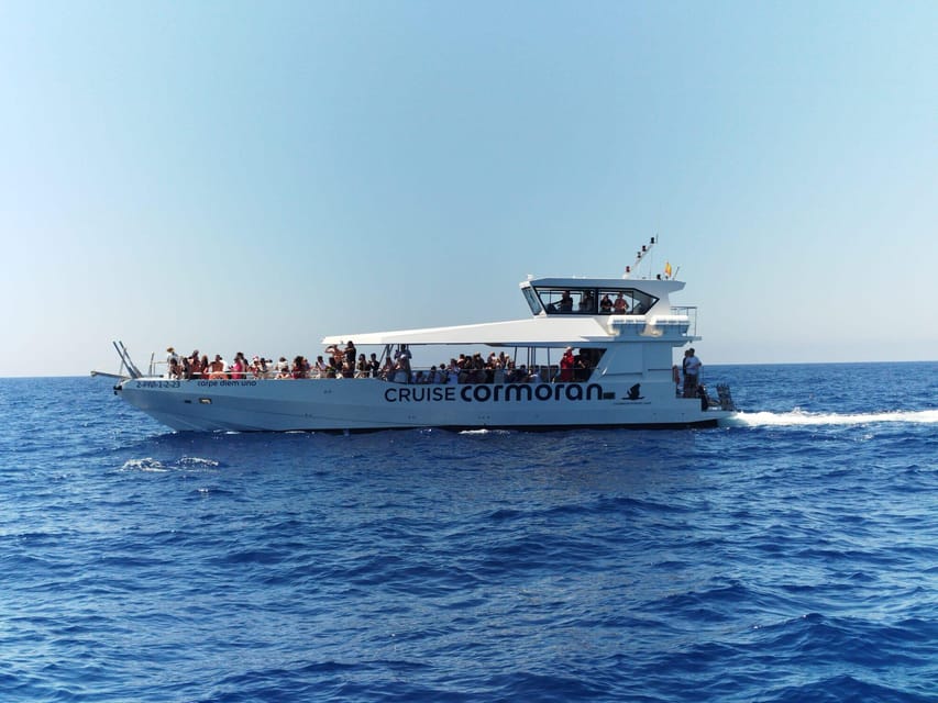 From Palma: 3-Hour Morning Dolphin Watching Boat Tour - Dolphin Watching From Palma: What the 3 Hours Feels Like