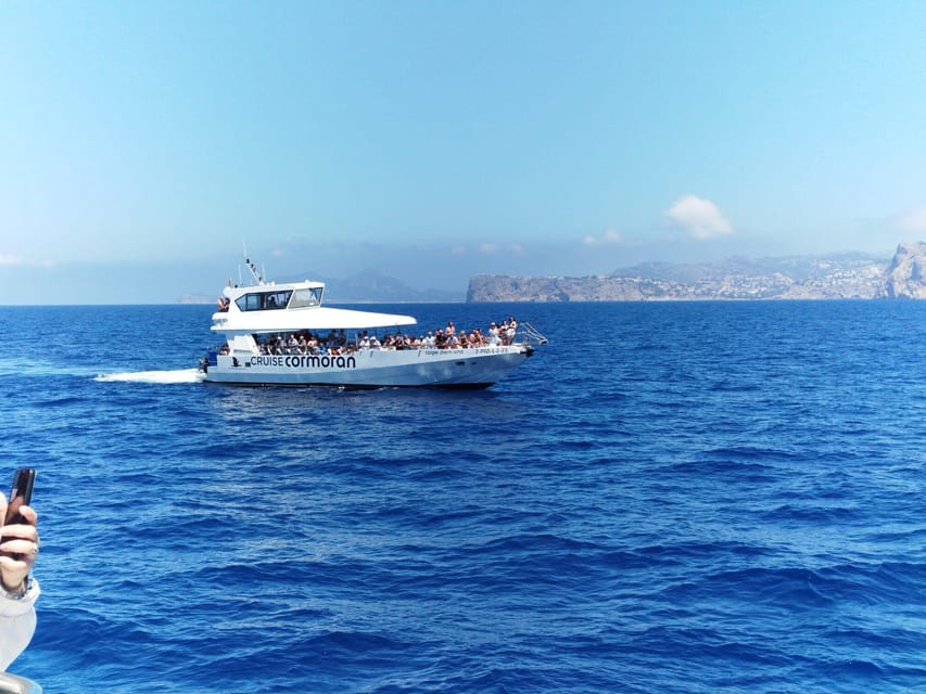 From Palma: Afternoon Dolphin-Watching Boat Tour - Small Group Setup and the Dolphin Crowd Factor