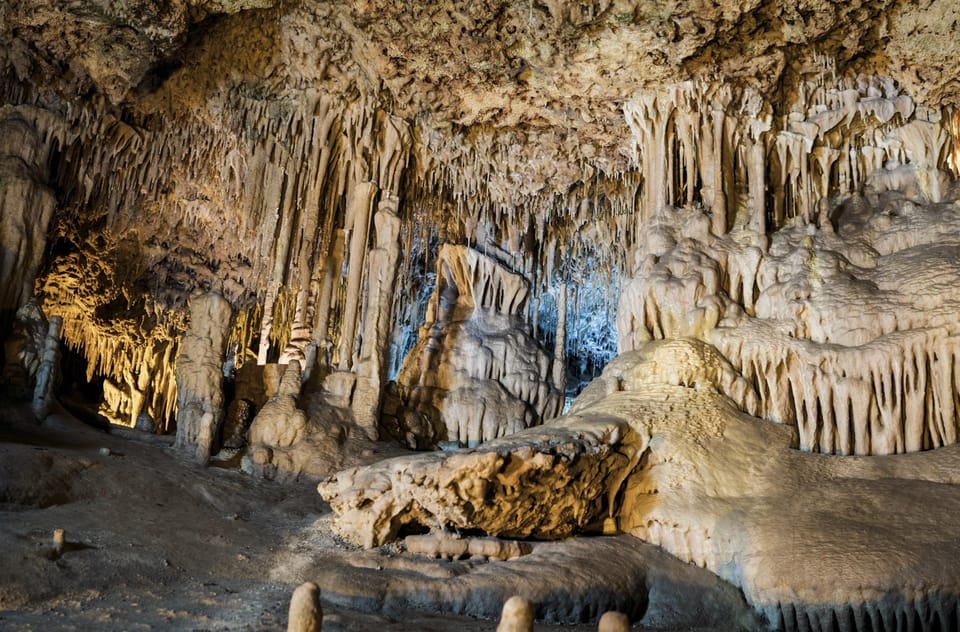 From Palma de Mallorca: Dinosaurland tour - Who This Trip Is Best For (And Who Might Find It Short)