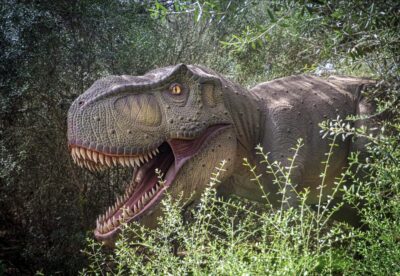From Palma de Mallorca: Dinosaurland tour - The Coach Ride: From Bar Varadero to the Park, Without Car Math