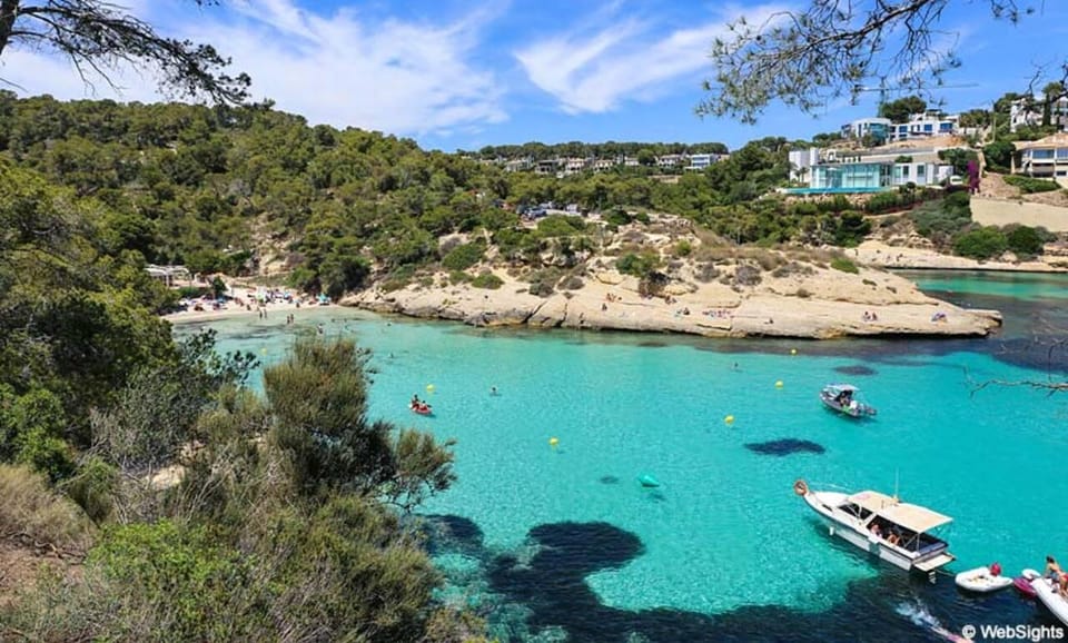 From Palma: Portal Vells Beach and Cave SUP & Snorkel Tour - Key Highlights You’ll Feel in Day-to-Day