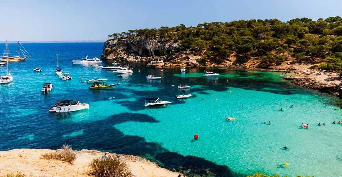 From Palma: Portal Vells Beach and Cave SUP & Snorkel Tour - Price check: is $164 worth it?