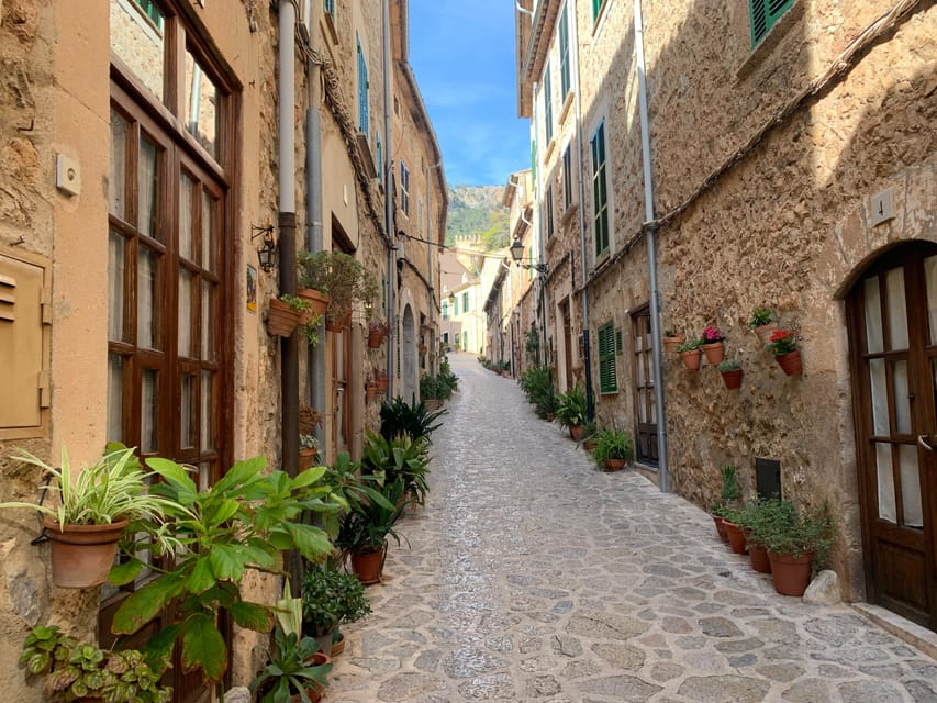 From Palma: Valldemossa Tour and Mountain Viewpoint Hike - What to Bring and How to Plan Your Day Smart