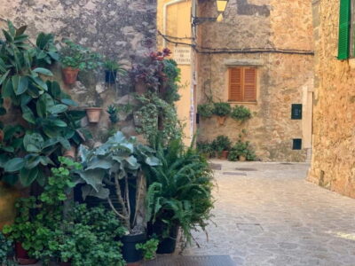 From Palma: Valldemossa Tour and Mountain Viewpoint Hike - Getting There: Plaza España to the Highest Town in the Mountains