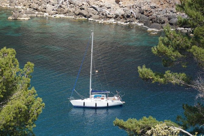 Full-day sailing excursion along the coast - Meeting point at FERGUS Style Soller Beach: show up ready