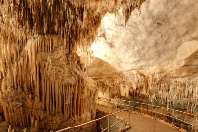 Full-day Tour to Drach Caves and Portocristo Town - Value check: what you’re paying for and how it stacks up