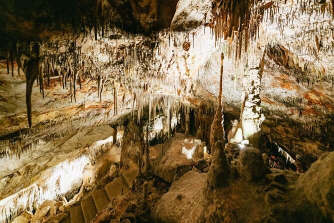 Full-day Tour to Drach Caves and Portocristo Town - How the schedule feels (and why that matters)