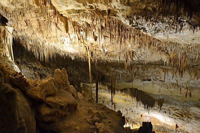 Full day tour to the Caves of Drach and Caves of Hams in Mallorca - Price and Value Check: What You Get for $82.26