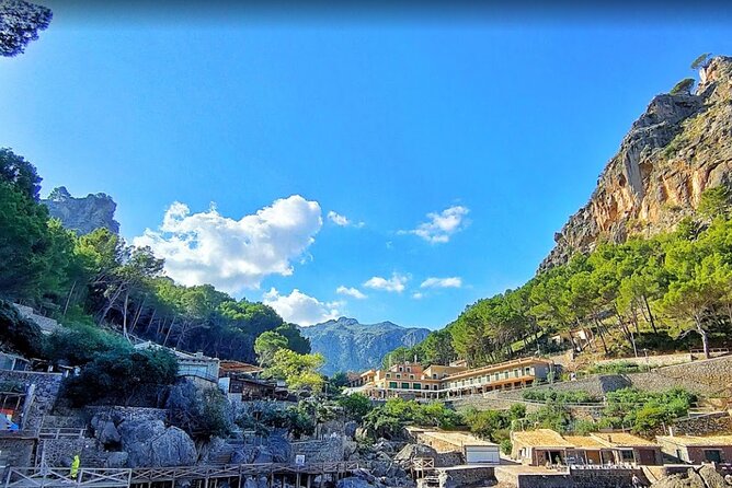 Full Day Tour to the Island of Mallorca - A Day Built on Train, Tram, and Boat