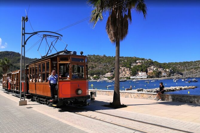 Full Day Tour to the Island of Mallorca - Sa Calobra: Free Time in the Cove (Plus Lunch Plans)