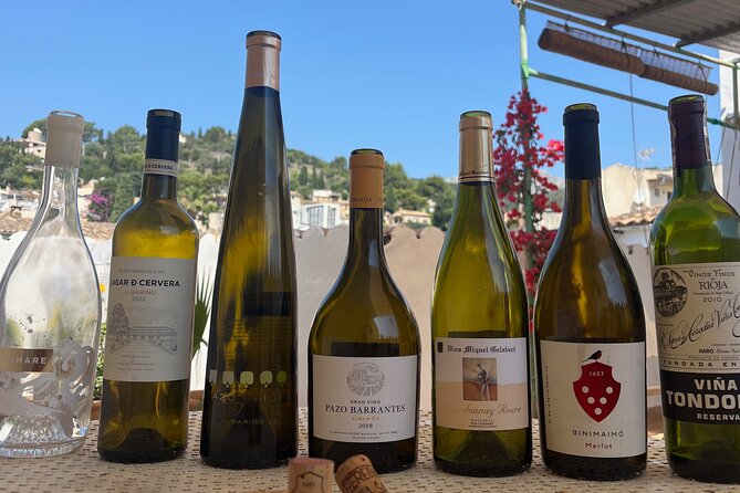 Gastronomic Wine Tasting Experience Guided by a Sommelier - Food pairing: why the snacks matter
