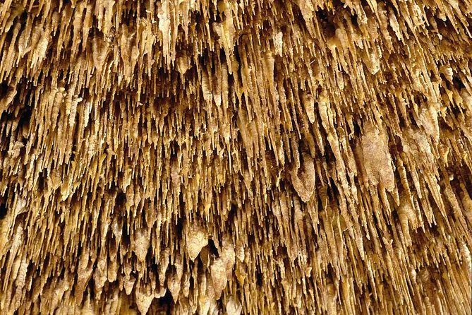 Guided Full-Day Tour of Drach Caves, Porto Cristo & Pearl Factory - The Porto Cristo break: a breather between underground wow and pearl shopping
