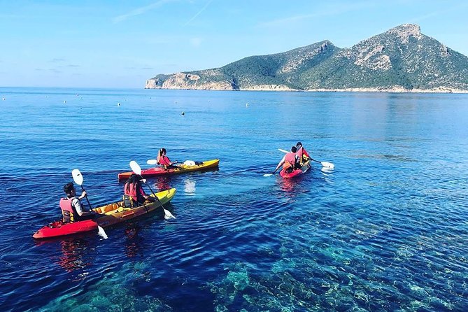Guided Kayak & Hike from Sant Elm to Sa Dragonera - Key highlights that matter