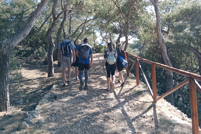 Guided Kayak & Hike from Sant Elm to Sa Dragonera - Snorkel and swim on the pebble beach: the best kind of free time