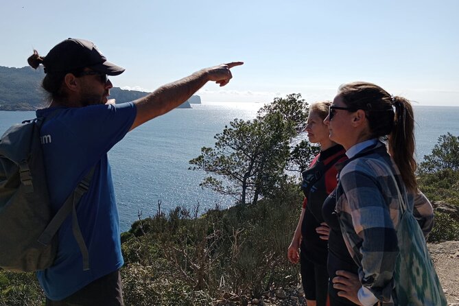 Guided Kayak & Hike from Sant Elm to Sa Dragonera - Paddling back to Sant Elm: what to expect for energy and timing
