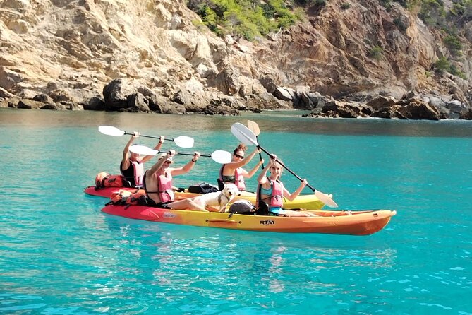 Guided Kayak Tour from Sant Elm to Sa Dragonera - Sa Dragonera Arrival: The Natural Harbor and the Island Walk