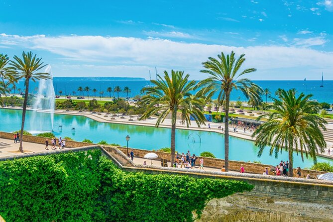 Guided Route through Palma with Cathedral and visit to Valldemossa (4H) - Pace and Day Timing: When a Tight Schedule Matters