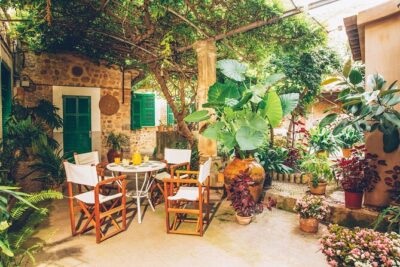 Guided Tasting Tour in 16th century House and Olive Oil Factory - The tasting brunch: olive oil, bread, tomatoes, cheese, and real orange juice