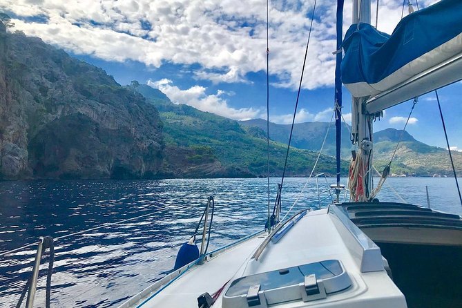 Half Day Sailing Excursion along the Coast - Key highlights you’ll care about