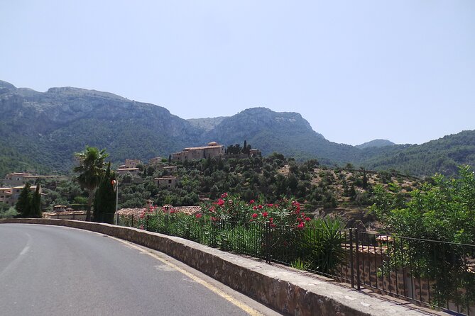 Half Day Slingshot Tour from Paguera - Stop 2: Palma from Punta des Grells, plus a nearby military museum