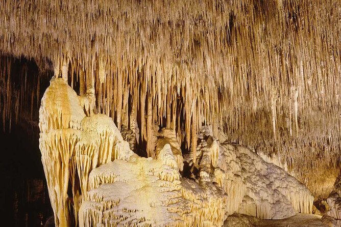 Half Day Tour Bus to the Caves of Drach - Who This Tour Suits Best (and Who Should Rethink It)