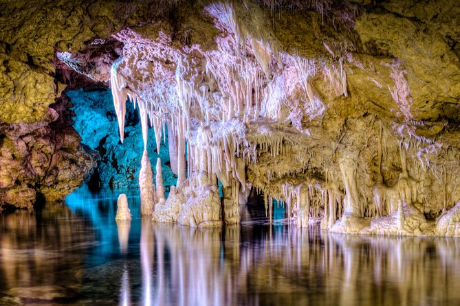 Half Day Tour to Dinosaur Land in Mallorca - A smart half-day plan for dinosaur fans (and grown-ups)