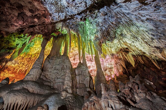 Half Day Tour to Dinosaur Land in Mallorca - Dinosaurland: self-guided dino fun plus a bilingual kids show