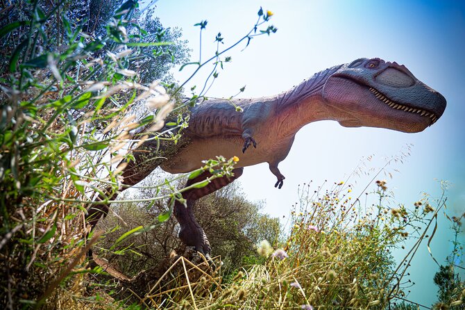 Half Day Tour to Dinosaur Land in Mallorca - Cuevas dels Hams: films, classical music, and steep steps