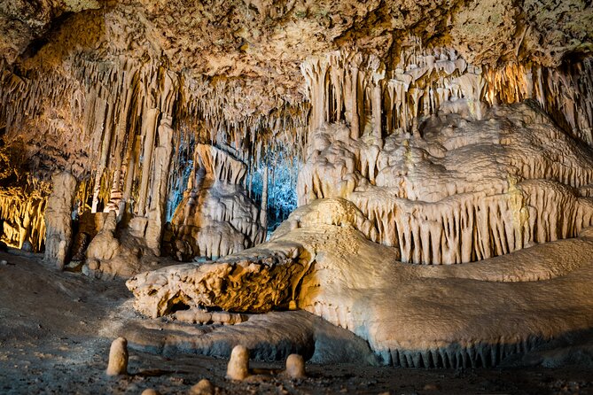 Half Day Tour to Dinosaur Land in Mallorca - Timing: how to avoid feeling rushed