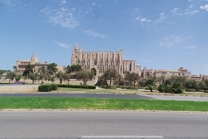 Half Day Trike Tour from Paguera - Palma’s old heart: a practical hit at La Seu Cathedral