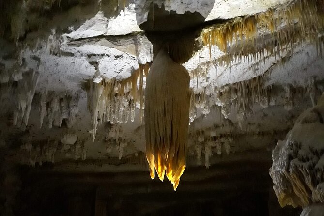 Hidden Mallorca: Sea Caving Adventure - Who This Private Sea Caving Tour Fits Best
