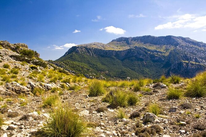 Hiking Private Tour in Pollensa - Key highlights you’ll actually feel on the trail