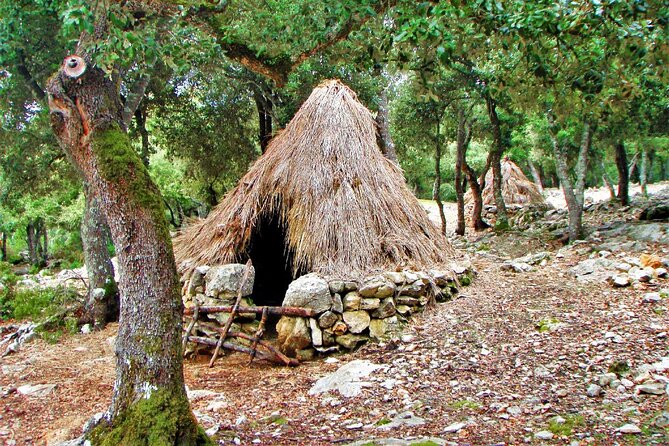 Hiking Private Tour in Pollensa - Lluc: slowing down for a more grounded Mallorca moment