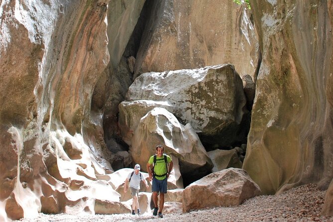 Hiking Private Tour in Pollensa - Vinyes Mortitx: countryside calm and a change of pace