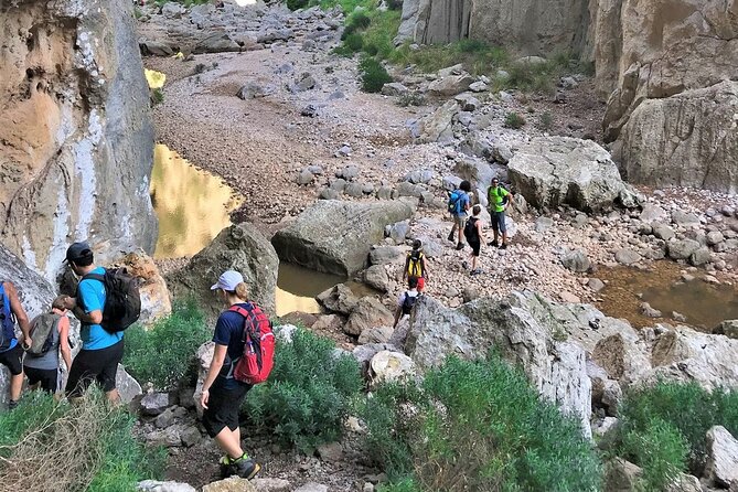 Hiking Private Tour in Pollensa - Starting out near Via Pollentia, 43: how the day is set up