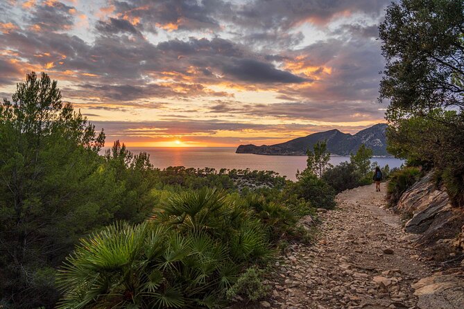 Hiking Tour into the sunset - Port Andratx to Sant Elm - Key Highlights (What Makes This Hike Worth It)