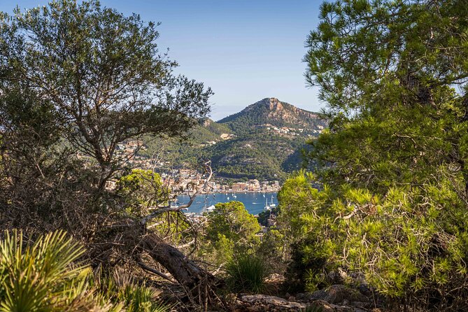 Hiking Tour into the sunset - Port Andratx to Sant Elm - Where the Sunset Hike Takes You (And Why It Works)