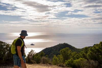 Hiking Tour into the sunset - Port Andratx to Sant Elm - Port d’Andratx: Harbor Views With a Working-Port Soul